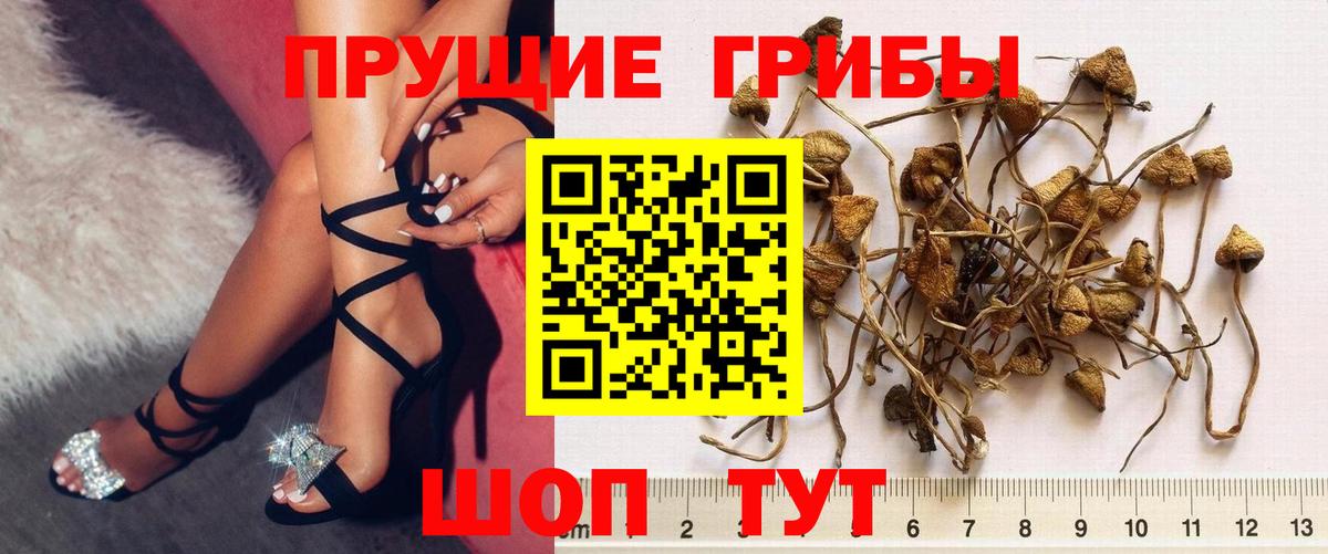 Галлюциногенные грибы мицелий Туапсе