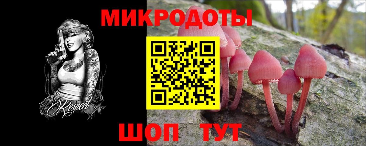 Псилоцибиновые грибы прущие грибы  Вход с VPN  цена наркотик  Псилоцибиновые грибы ЛСД  Туапсе 